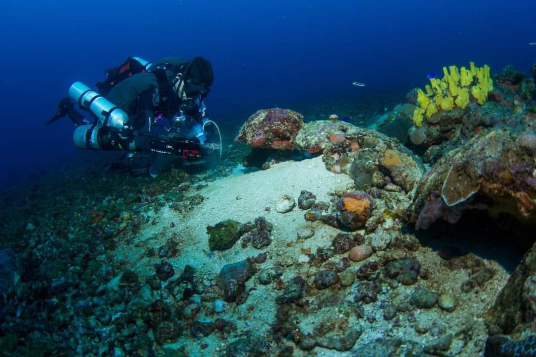 Hotel Taganga Dive Santa Marta Dış mekan fotoğraf