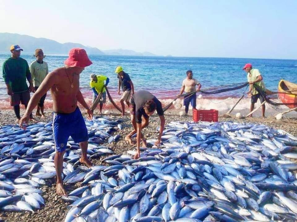 Hotel Taganga Dive Santa Marta Dış mekan fotoğraf