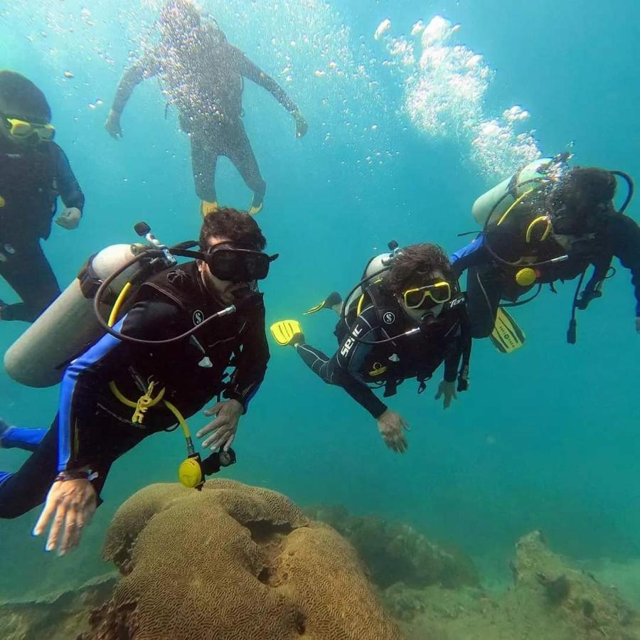 Hotel Taganga Dive Santa Marta Dış mekan fotoğraf